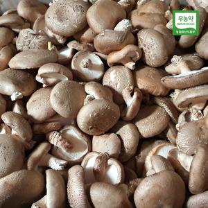 (무농약) 친환경 표고버섯 (파지) 4kg