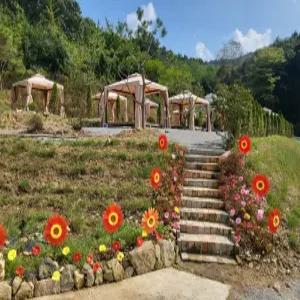 [충남 펜션] 예산 다온팜캠핑장 (예산,홍성)