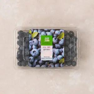 칠레산 블루베리 310g 팩