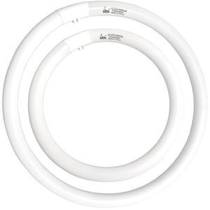 FC12T9/CW 32W 및 FC16T9/CW 40W 쿨 화이트 세트, 원형 형광 전구 30.5cm(12인치) T9 32와트 및 40.6cm(16인치) 40와트 원형 전구, 원형 주방 및 욕실 전구, 4100K, G10q 4핀 프롱