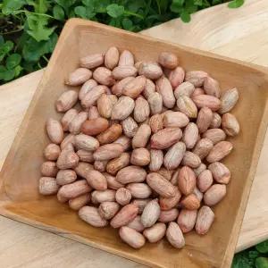 2025년산 햇땅콩 국내산 땅콩 생땅콩 1kg 생알땅콩