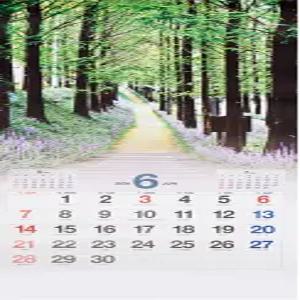 2026년신형 길위에풍경 나만의 산책여행 대형 카렌다 3단 벽걸이 달력 선물하기좋게개별비닐포장 2026년 신형으로 발송합니다