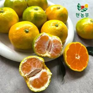 제주 조생 노지 감귤 가정용 5kg 2S(소과)
