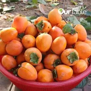 대봉감 홍시 곶감용 말랭이 감 10kg 중과(36~40과)