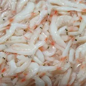 신안 천일염 새우젓 육젓  2kg 1kg  국내산 김장용 요리용 자연숙성 깊은 감칠맛 바다의선물