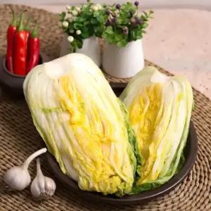 [예약주문] 영월 고랭지 절임배추 20kg 천일염 사용