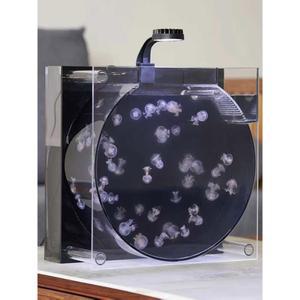 자동순환 물멍 투명 해파리 어항 키우기 수족관