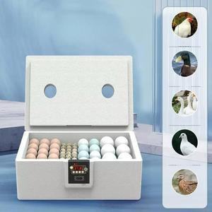병아리 부화기 인큐베이터 곰부화기 소형인큐베이터 가정용 단일 USB 파충류 온도조절 달걀