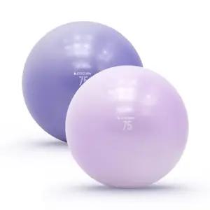 이고진 짐볼 75cm 요가 필라테스 임산부 안티버스트 스트레칭