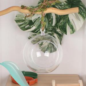 아크릴 은신처 투명볼 도마뱀은신처 도마뱀 사육장꾸미기 용품 파충류