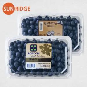 썬리지 항공 직수입 대용량! 생 블루베리 칠레산 310g 2팩 3팩 4팩