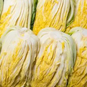 [HACCP] 강원도 고랭지 3중세척 절임배추 20kg (7-11포기/국내산천일염)