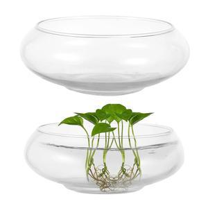 2개의 PCS 원형 유리병 그릇, 6인치/8인치 와이드 입 투명 유리 물고기 연꽃 다육식물 화분, 가정 장식용 수경 재배 화분 꽃 장식 센터피스(2PCS)