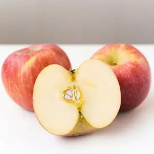 부사사과 안동 청송 문경 못난이 가정용 흠집 부사 사과 5kg 10kg 중대과