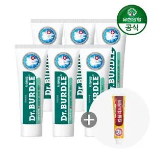 닥터버들 구취/잇몸/토탈케어 치약 100g X 6개 외
