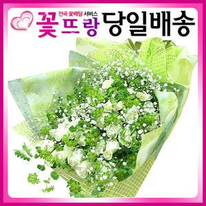 안개 백장미 꽃다발 [꽃도매점에서 싱싱한 꽃으로 배송]