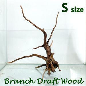 수족관 가지유목 S (10~15cm) / 수족관 어항 수조 장식 장식품 모스 활착 수초 나무 꾸미기 레이아웃 열대어 관상어 구피