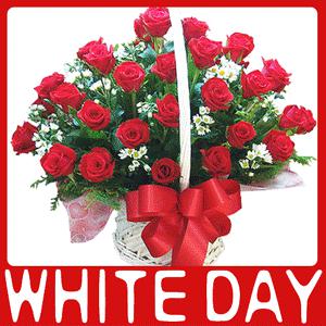 ★사탕무료증정39,900원☆1+1꽃바구니 하나가격에 사탕까지/전국무료배송/화이트데이/기념일