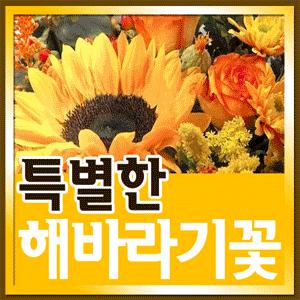 해바라기꽃(서울지역배송) 꽃배달서비스/생일/기념일