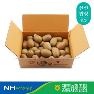 [제주농협] 한라스위트 제주키위 3kg 개당 70-105g 내외