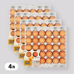 [YJ푸드] 맥반석계란 구운계란 120구 구운란 간식 단백질 HACCP