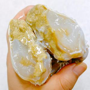 [당일조업] 국내산 가을 꽃게 서해안 활 가을꽃게 1kg