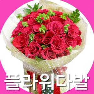 [프리미엄 꽃다발50가지] 인기폭발 꽃다발모음/ 당일배송/완료문자서비스/2시간 전국꽃배달