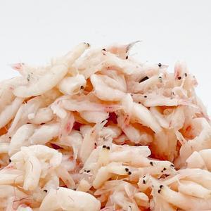 [강경장수젓갈] 새우젓 오젓 500g,1kg