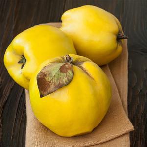 청도 생모과 1kg 3kg 5kg 모과차 모과청