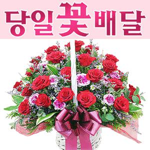장미꽃바구니/안개꽃바구니 [전국꽃배달서비스] 당일2시간 무료배송