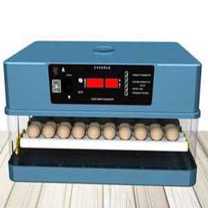 계란부화기 인큐베이터 전란 알 애착둥지 알부화기 꿩