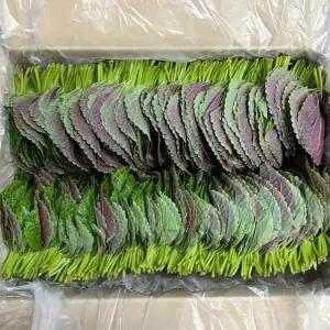 [산지직송] 국내산 밀양 찹찹이 깻잎 1kg