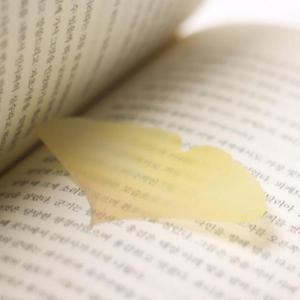 메모지 노트 인덱스 은행잎 점착 반투명 예쁜