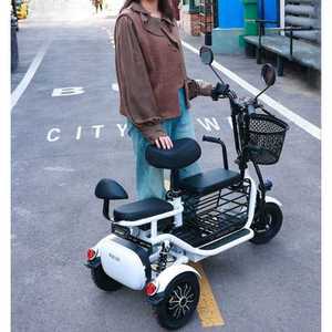전기 자전거 3륜 접이식 배달 삼륜 2인승 유아 동승 고급