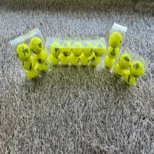 골프공 다이아윙스 M5 장타 비거리 고반발 볼 유광옐로우 10구 (투명케이스...