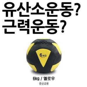 모든A 유산소 운동과 근력운동을 한방에 월볼 6Kg 운동기구 헬스용품 헬스소품 가정용운동기구 홈트레이닝
