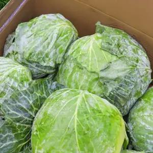 양배추 15kg 5-7구 업소용 식자재 대용량