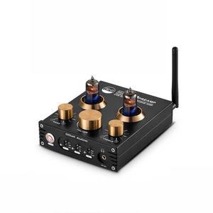 진공관 앰프 블루투스 오디오 스피커 Hi-Fi 진공 브리츠 안치 모델 인티 H-100