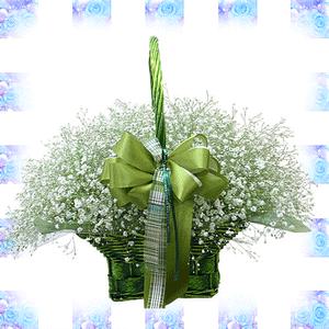 ★★★안개꽃바구니★★★사랑하는 사람에게 사랑과 감동을 선물하세요~전국3시간 무료배송