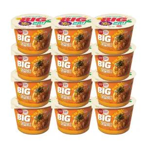 햇반 컵반 BIG 치즈닭갈비덮밥 313g 12개