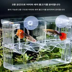 치어항 부화통 구피새끼 산란 베타 1개 베타 격리통