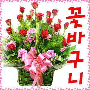 장미/카네이션/안개꽃/꽃바구니[생일,프로포즈,기념일등]전국3시간무료배송