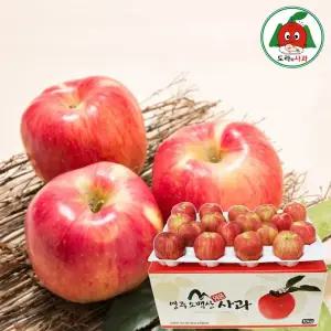 영주소백산 꿀부사 사과 가정용 10kg대과(27~23과내외)