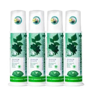 덴티스테 플러스화이트 펌프치약 170g 4개