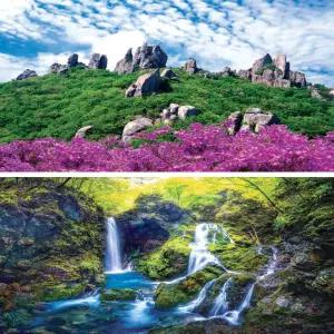 2026년 한국의대자연 민족의산하  벽걸이달력  삼단 탁상 대형카렌다  음력 양력