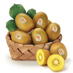 [상록청과]뉴질랜드제스프리 골드키위 5.6kg 과수선택