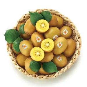 [상록청과]뉴질랜드 제스프리골드키위 5.6kg 36-41과외