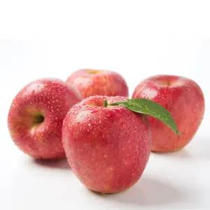 주스용 사과 10kg 랜덤과