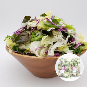 의령농산 건강채소 대용량 1kg 샐러드 외 9종