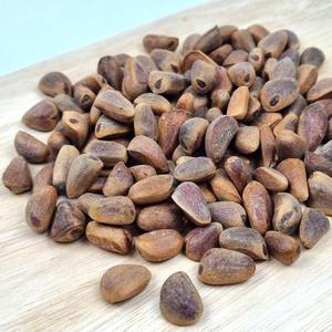 애니몰 겉잣100g 햄스터 다람쥐간식 먹이 국산잣 피잣 소동물간식 먹이